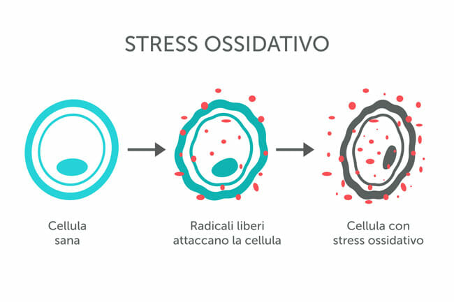 cause-stress-ossidativo