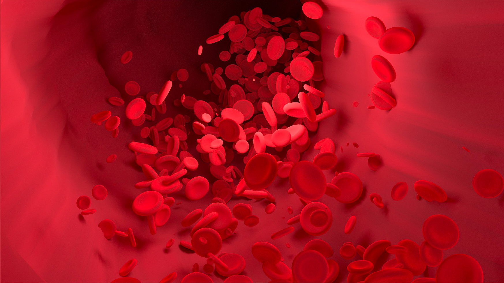 Omocisteina - acido folico