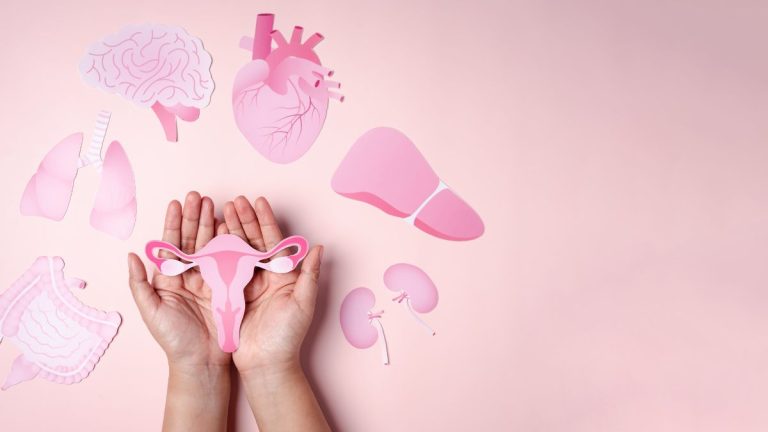 ciclo mestruare e processi cognitivi